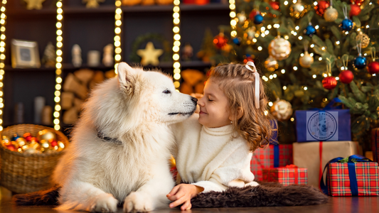 Hosting Guests with Pets: Etiquette Tips for a Pawsome Holiday