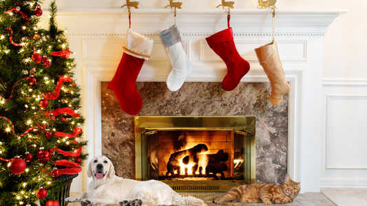 Last-Minute Stocking Stuffers for Pets: Affordable and Adorable Gift Ideas